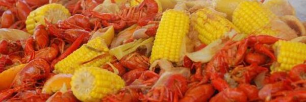 jplauche Profile Banner