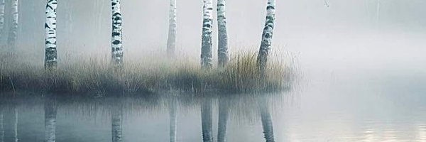 deadbirdsnest Profile Banner