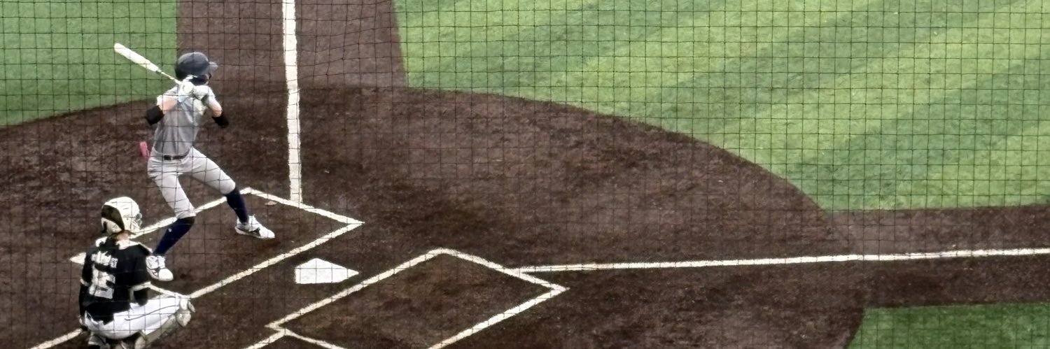 Blake Silvers banner