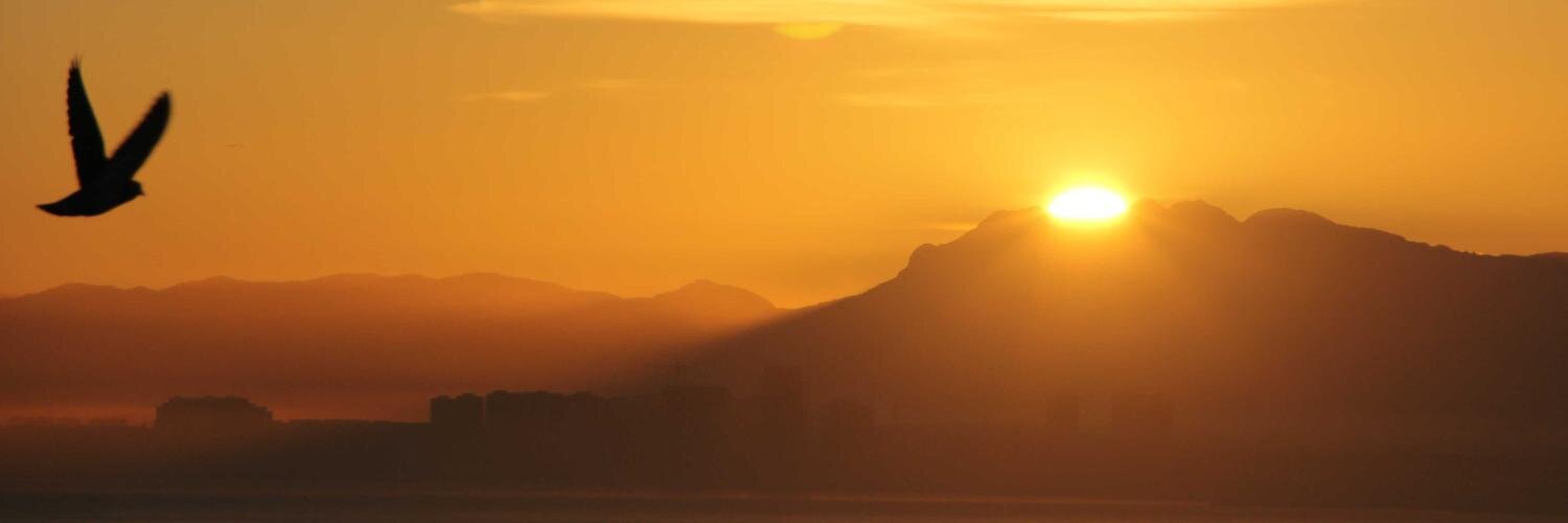 Bertrand Manterola banner