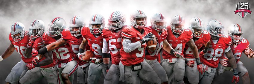 Buckeye King banner