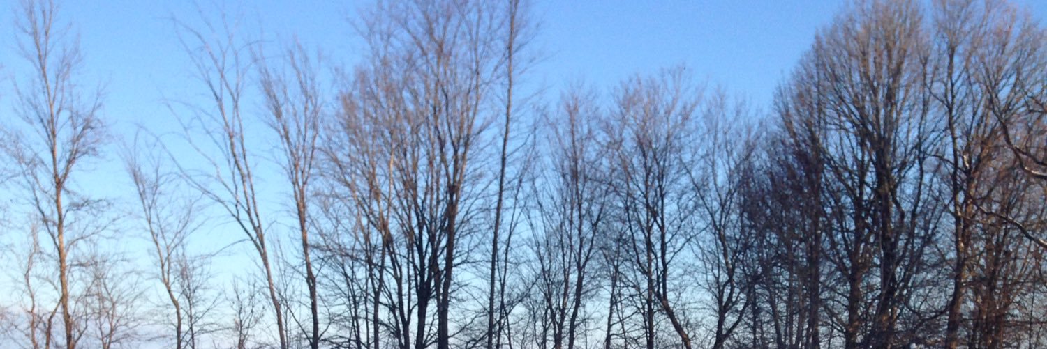 BilodeauDevin's profile banner image