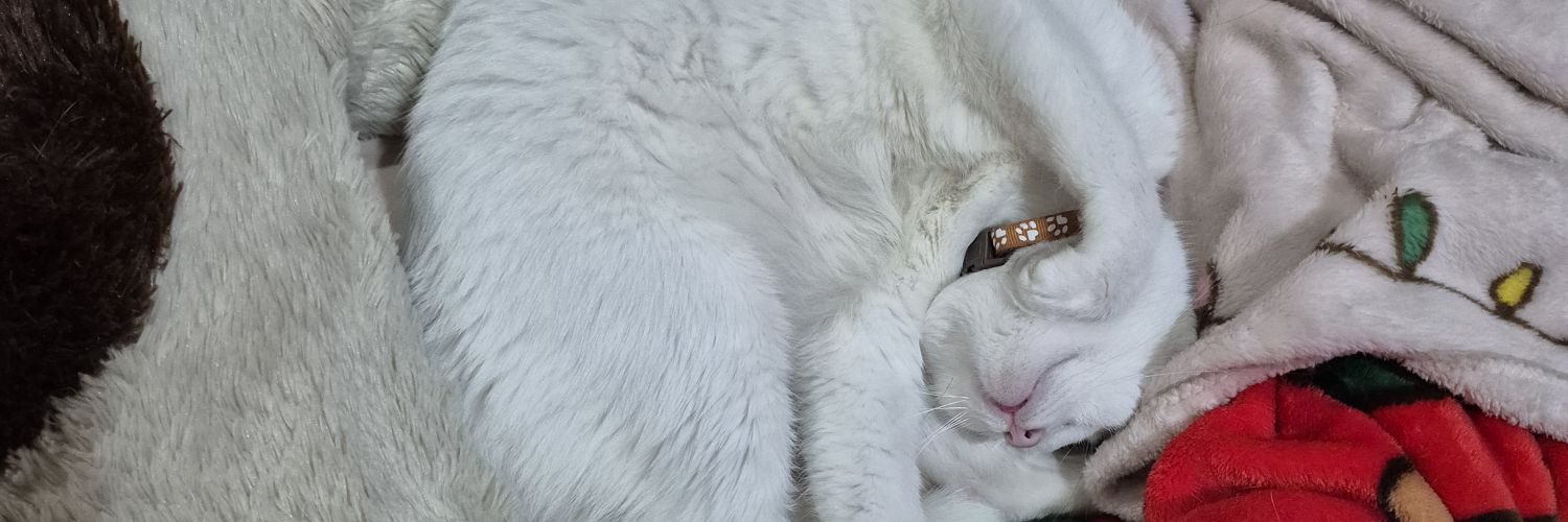 Am โยยะ หม่าม๊าน้องทิล banner