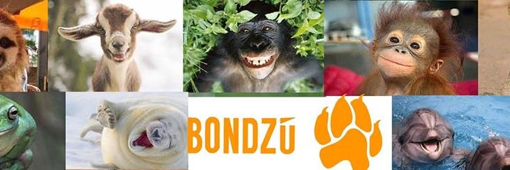 BondzuCubs's profile banner image