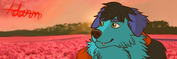 AMudkip1720085 Profile Banner