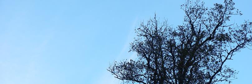 Coskun Dolanbay banner