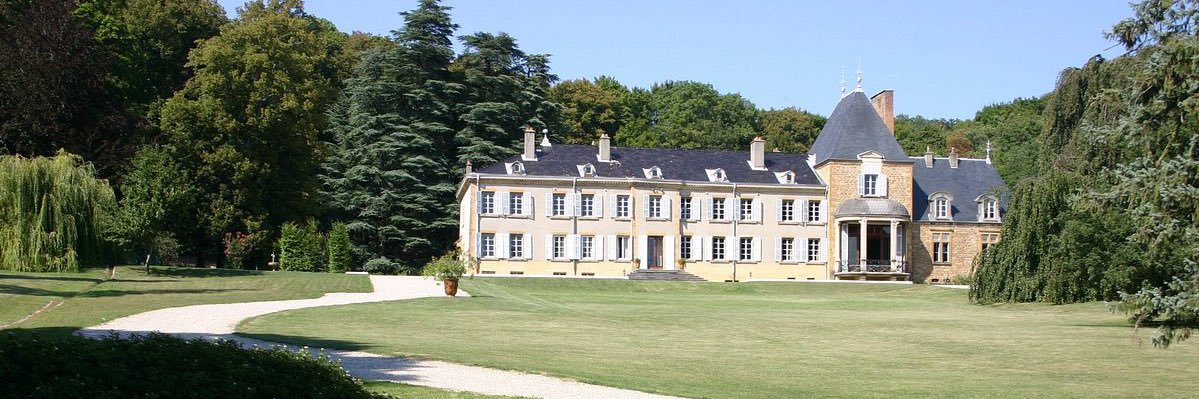 John Louis Orleans banner