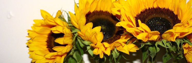 SunnyDeej_'s profile banner image