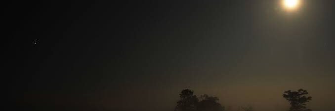 jun_octra's profile banner image