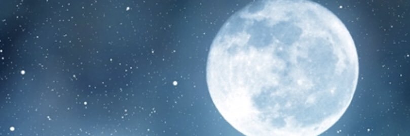 kitchensinkerin's profile banner image