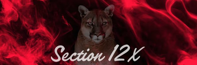 Section 12X banner