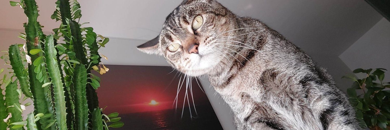 TiagodPT's profile banner image