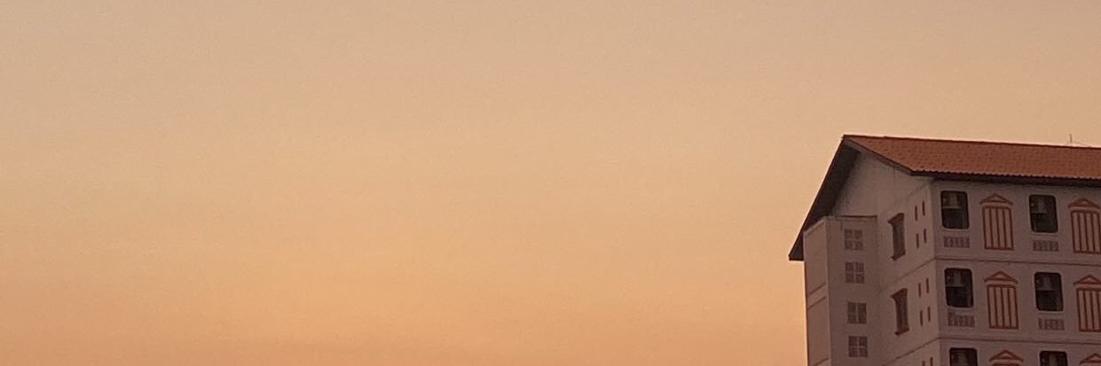 SFinz's profile banner image