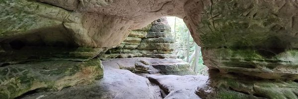 CelestialBugg Profile Banner