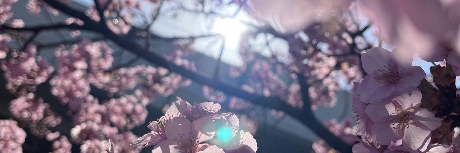 buzzzbird's profile banner image