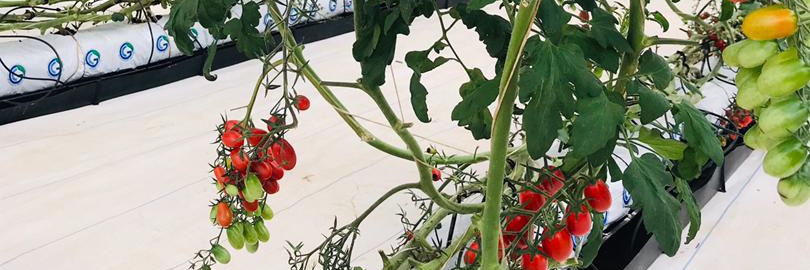 Alagba Christian O banner