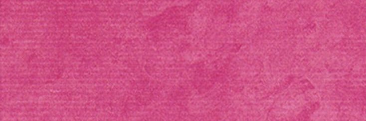 fawnlet's profile banner image