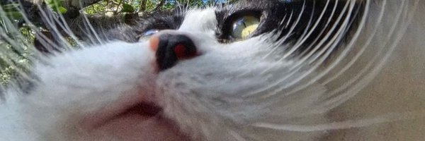 shadrie_art Profile Banner