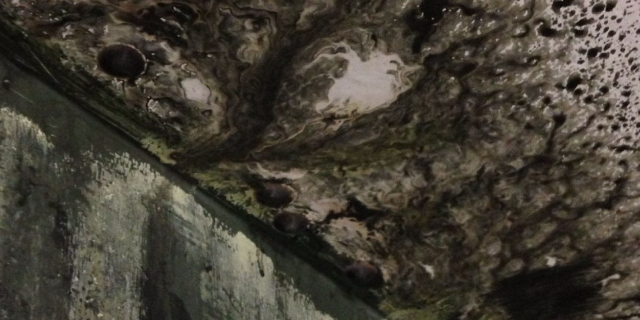 Nspired1Art's profile banner image