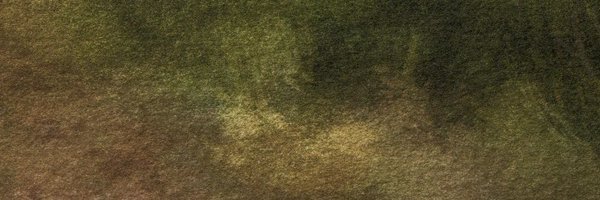 pihsmasowt Profile Banner