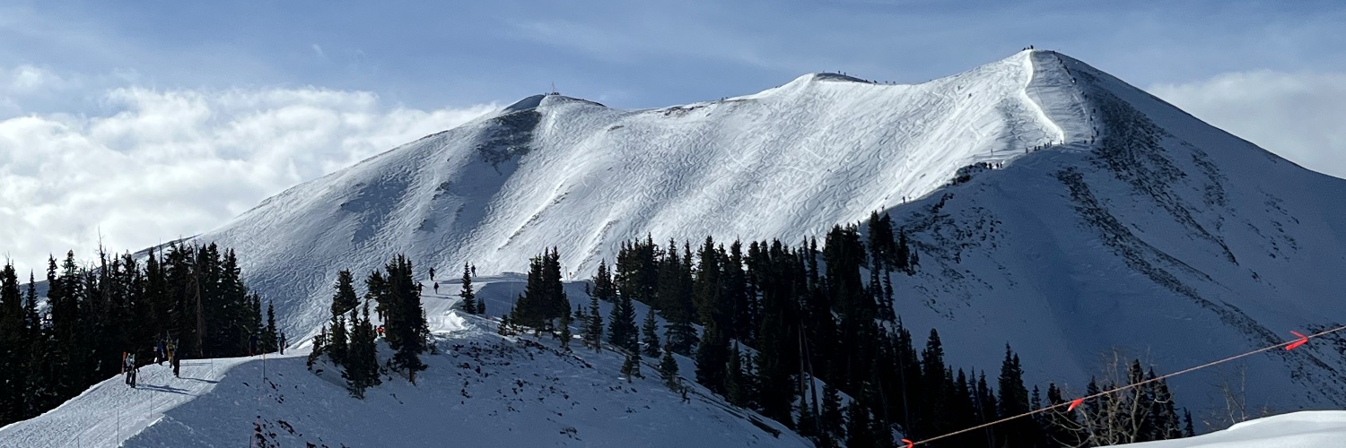 Michael Feinsod banner