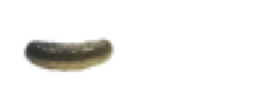 carcasscounty's profile banner image
