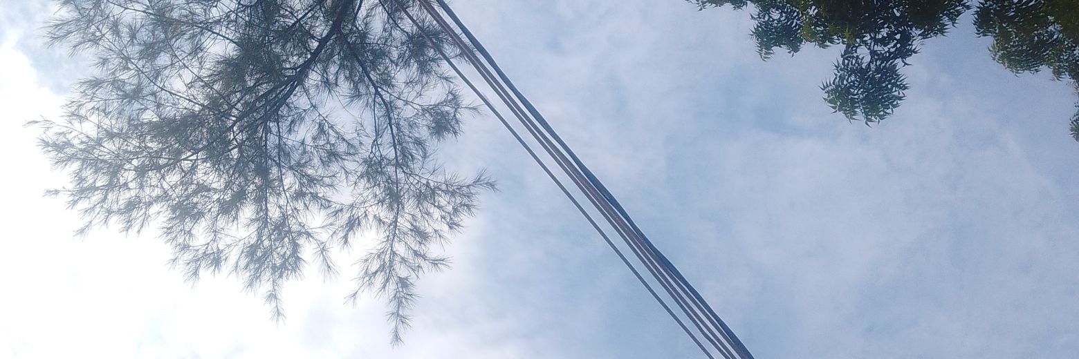 Jamelycb's profile banner image