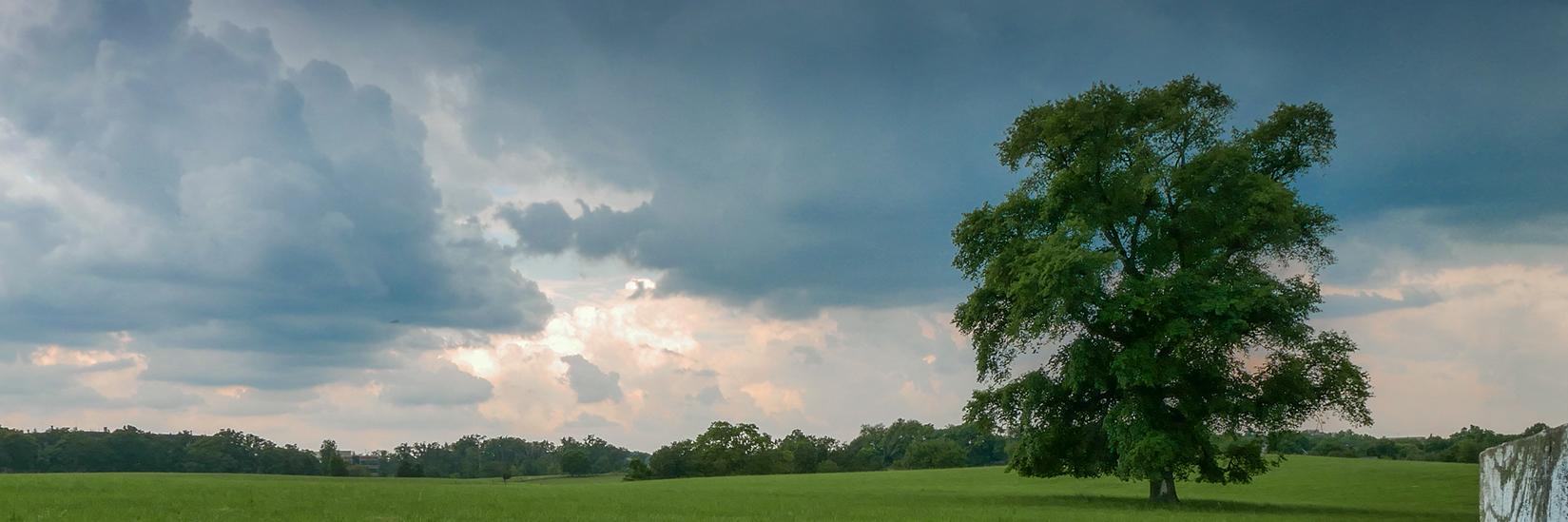 Bruce Lemieux banner