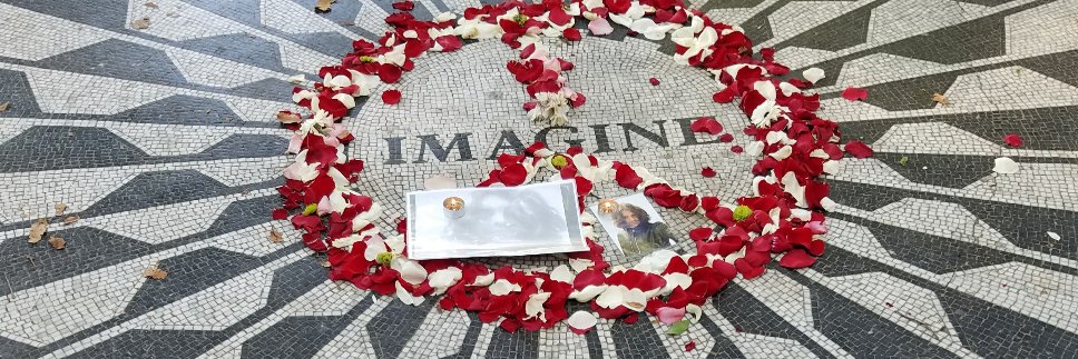 Martha Bigelow banner