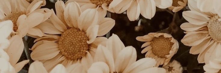 briananicole143's profile banner image