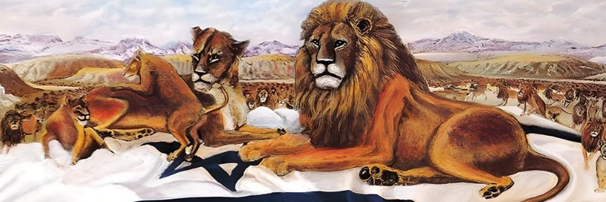 ForZionSakeIntl's profile banner image