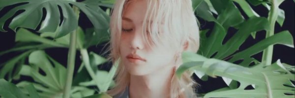 krisantheilya Profile Banner