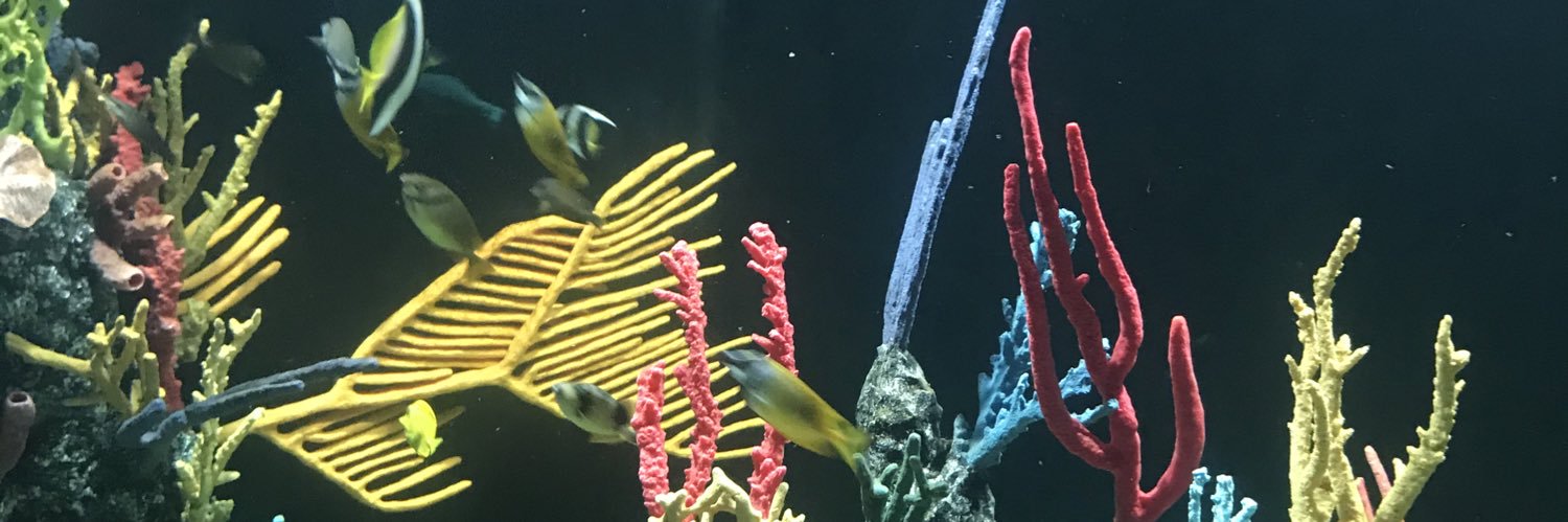 MariaClaveria's profile banner image