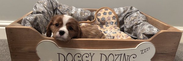 Bentleybones1 Profile Banner