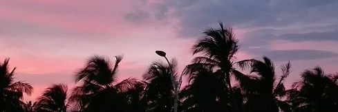 Dianebih's profile banner image
