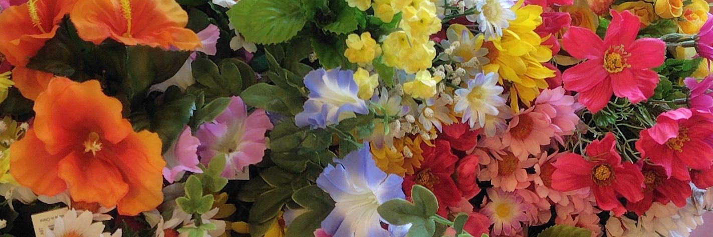 巴 banner