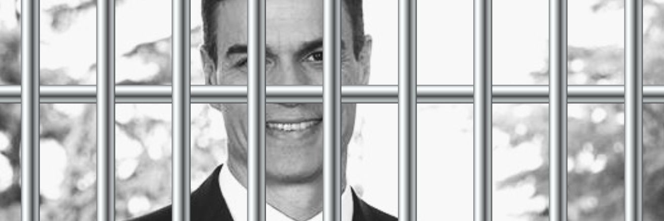 destrozacontenedores banner