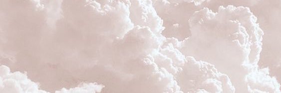dariaesseker's profile banner image