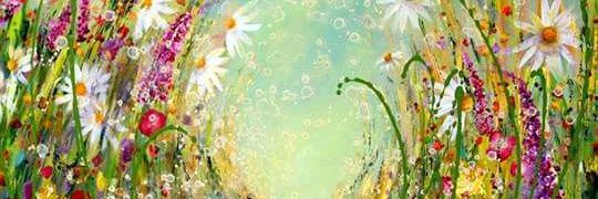 Cayla71's profile banner image
