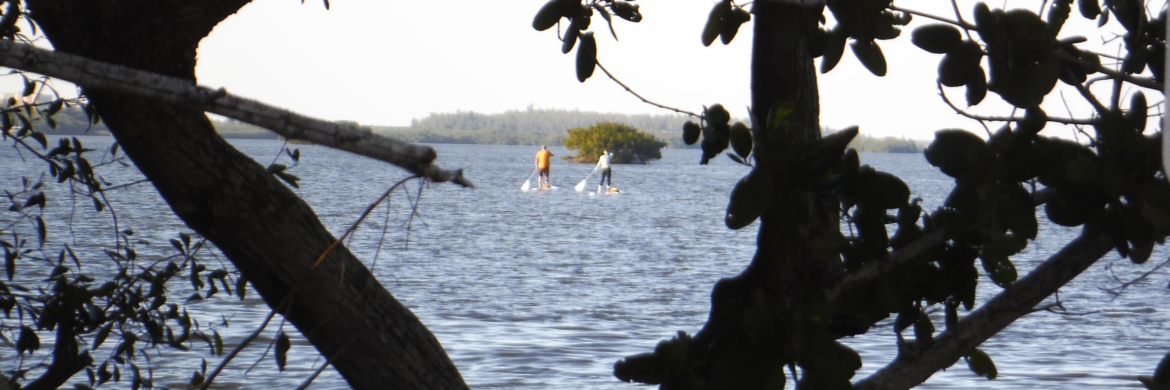AboveBoardSUP's profile banner image