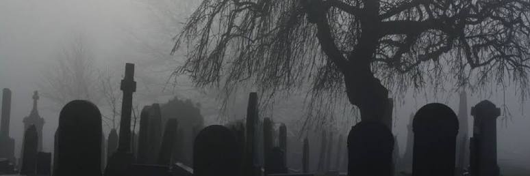𝕶𝖎𝖒𝖔𝖗𝖆’𝖘 𝕾𝖍𝖆𝖔 𝕶𝖆𝖍𝖓 (𝕻𝖆𝖗𝖔𝖉𝖞) banner