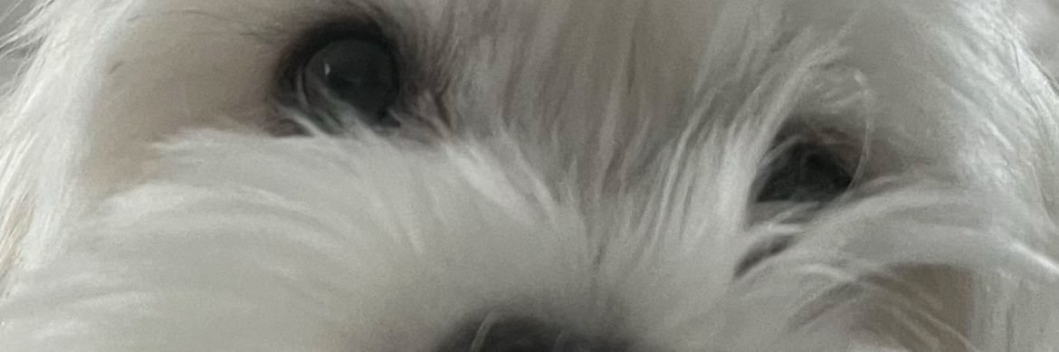 Scottwortsman's profile banner image