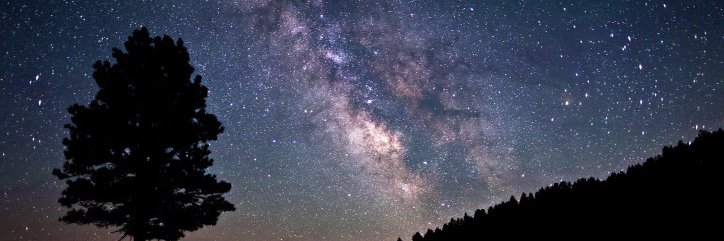 maxfieldweiss's profile banner image