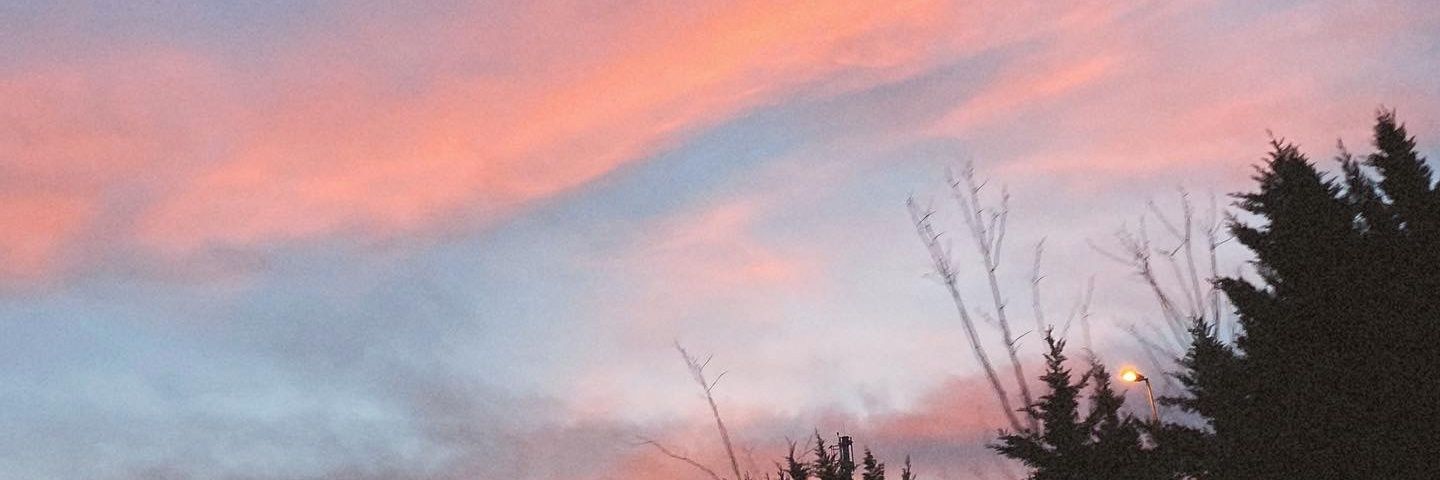 Sıla Türkoğlu banner