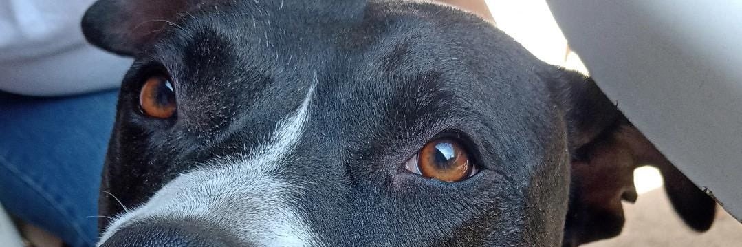 majomercadoq's profile banner image