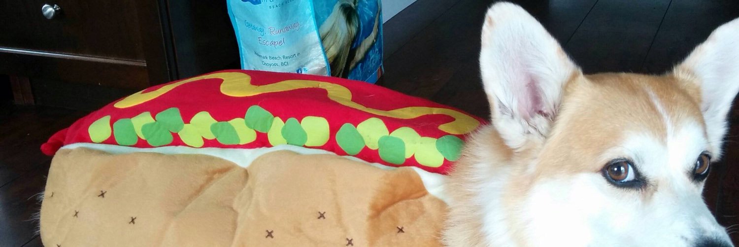 cinnamonjihad's profile banner image