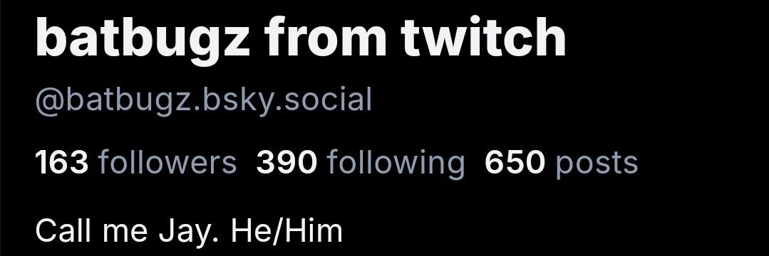 batbugz banner