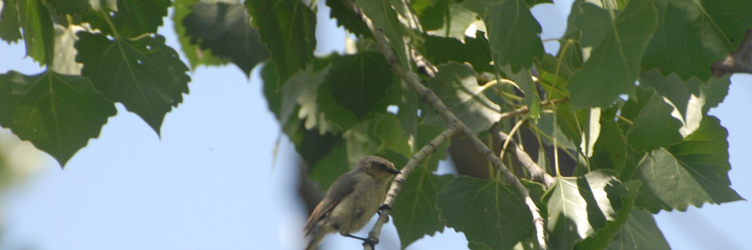 ABQ Open Space banner