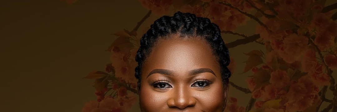 Solarful's profile banner image