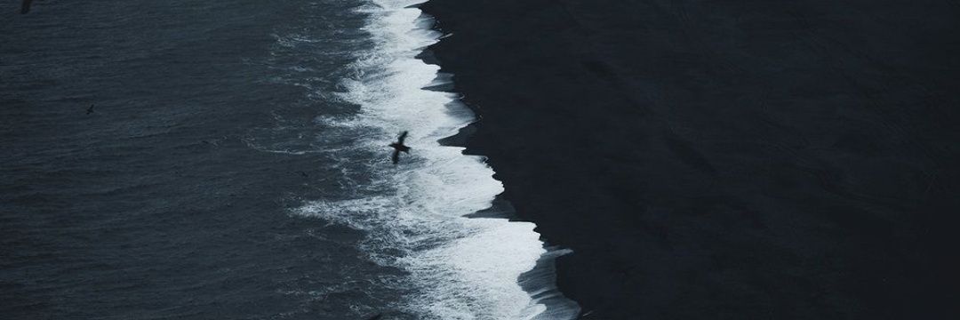 burcuerc's profile banner image
